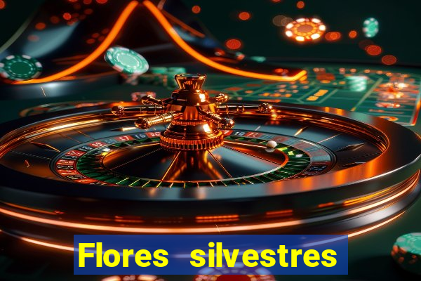 Flores silvestres brasileiras brasileiras flores silvestres nomes e imagens